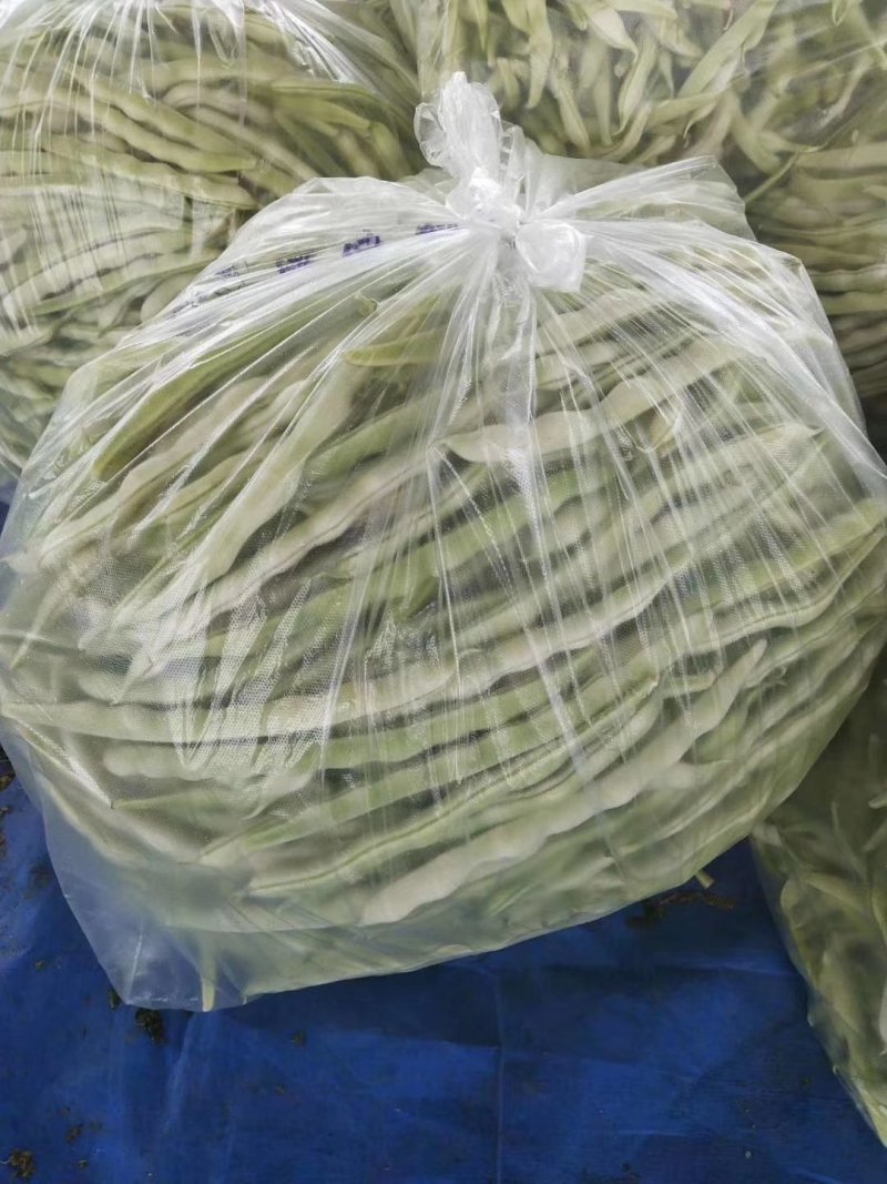 临沂市莒南九里白芸豆大量上市可视频看货欢迎咨询