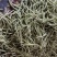 临沂市莒南九里白芸豆大量上市可视频看货欢迎咨询