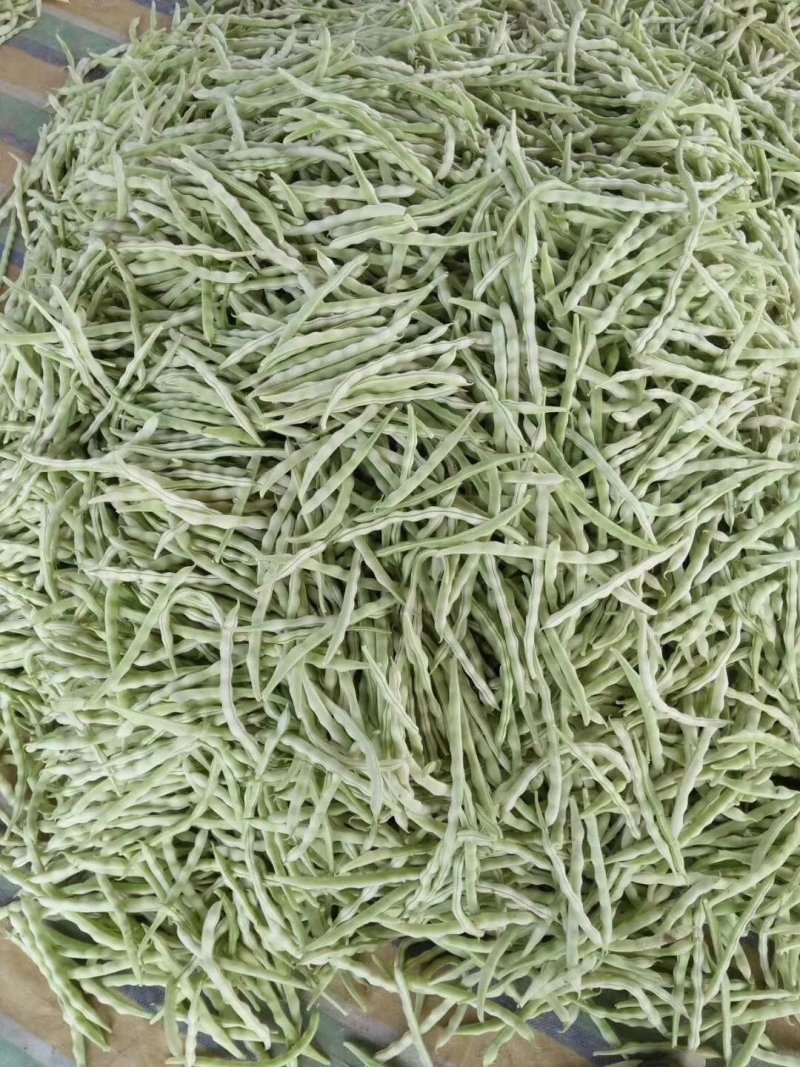 临沂市莒南九里白芸豆大量上市可视频看货欢迎咨询