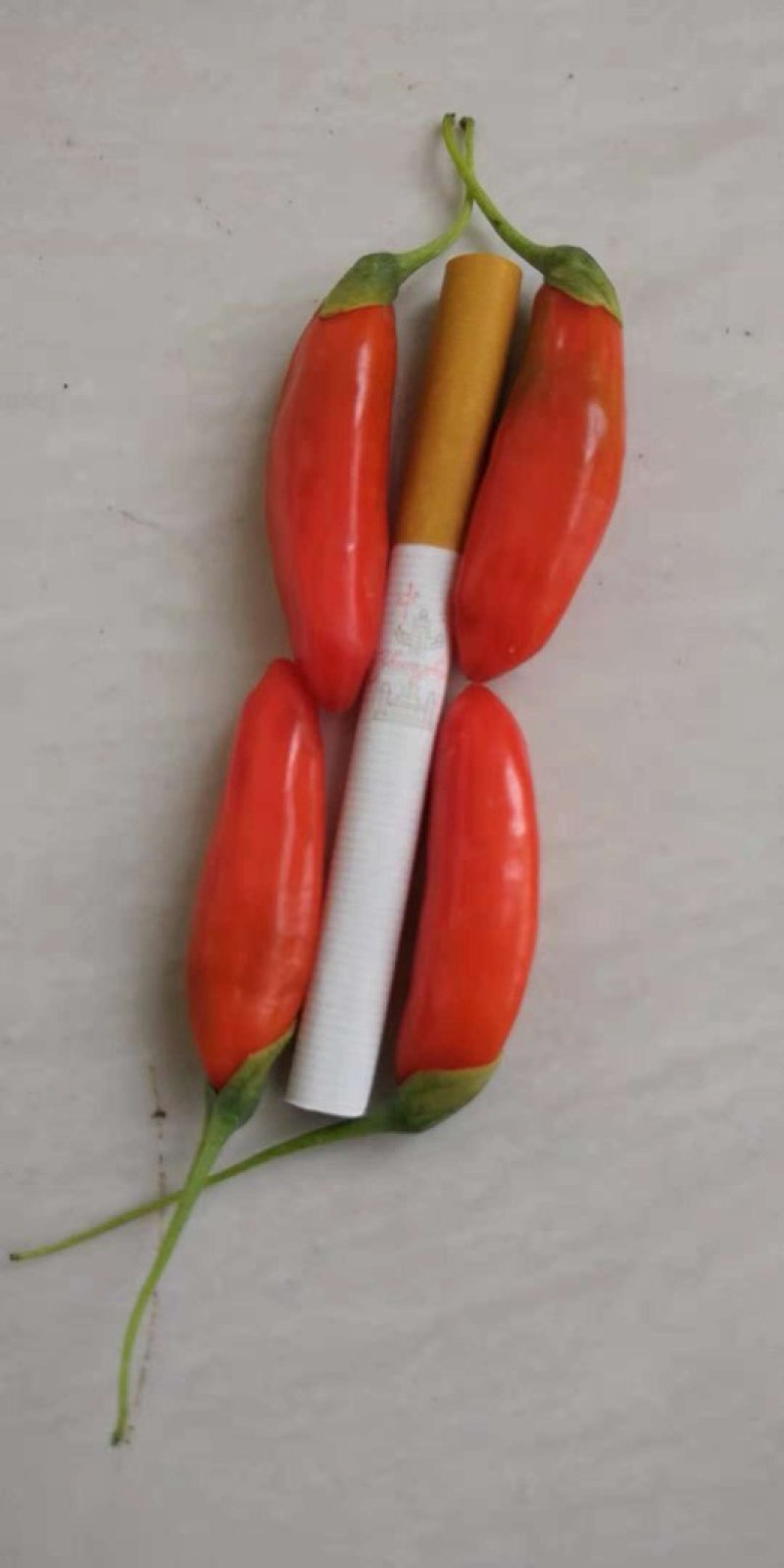 枸杞干果，鲜果，黑枸杞，红枸杞，有需要的可以联系我