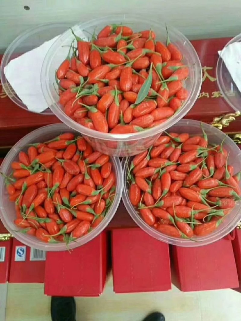 枸杞干果，鲜果，黑枸杞，红枸杞，有需要的可以联系我