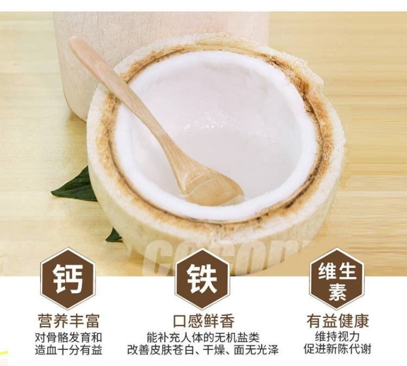 海南特产椰青批发产地直销现厂加工