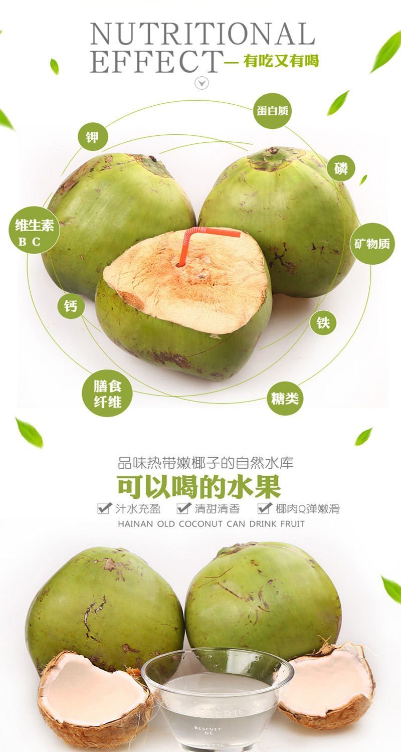 海南特产椰青批发产地直销现厂加工