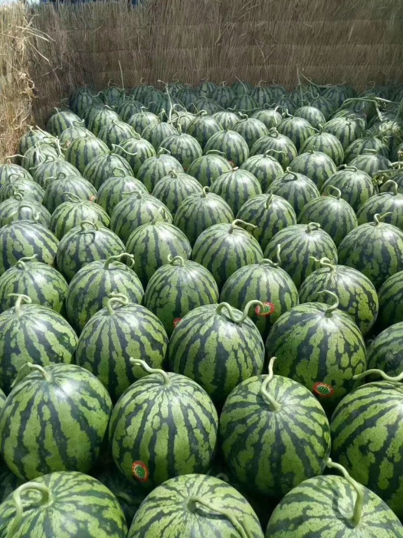 甜王西瓜