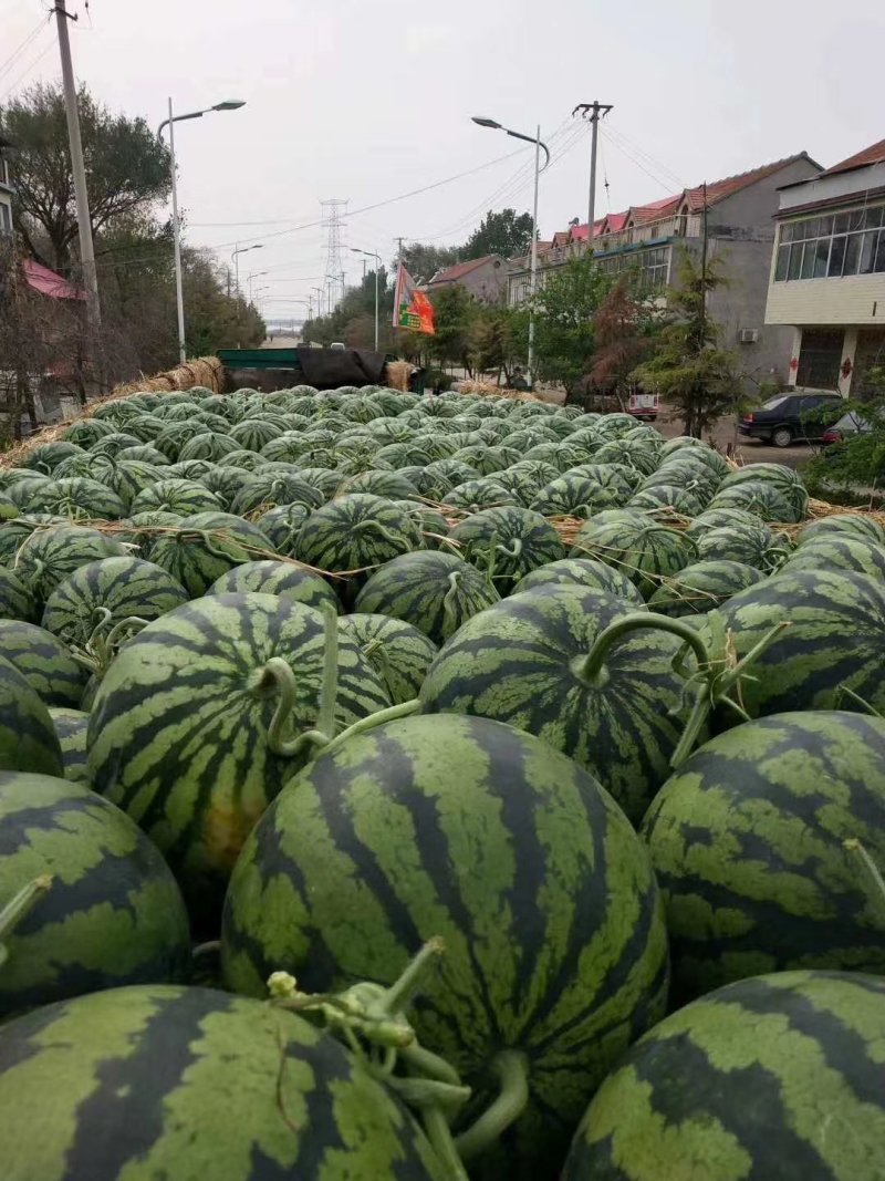 甜王西瓜