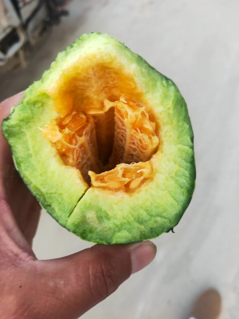 甜瓜口感好质量保证精品