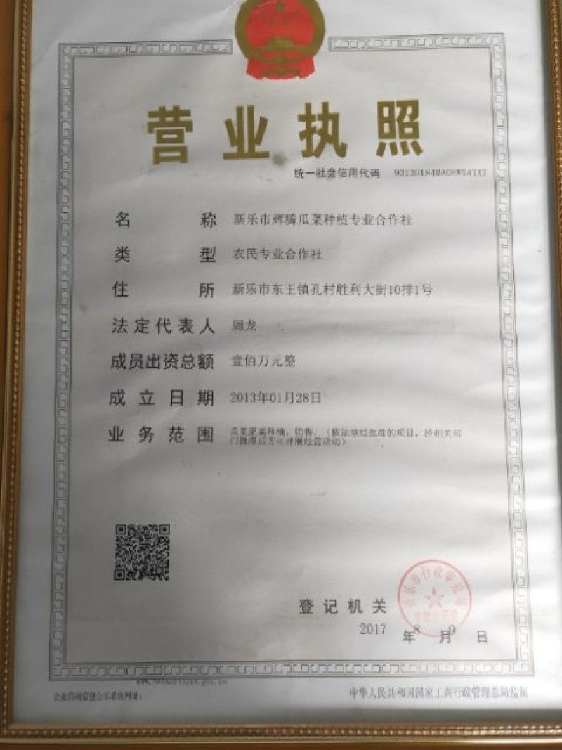 甜瓜口感好质量保证精品