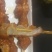 骨肉相连，鸡肉串，奥尔良串
