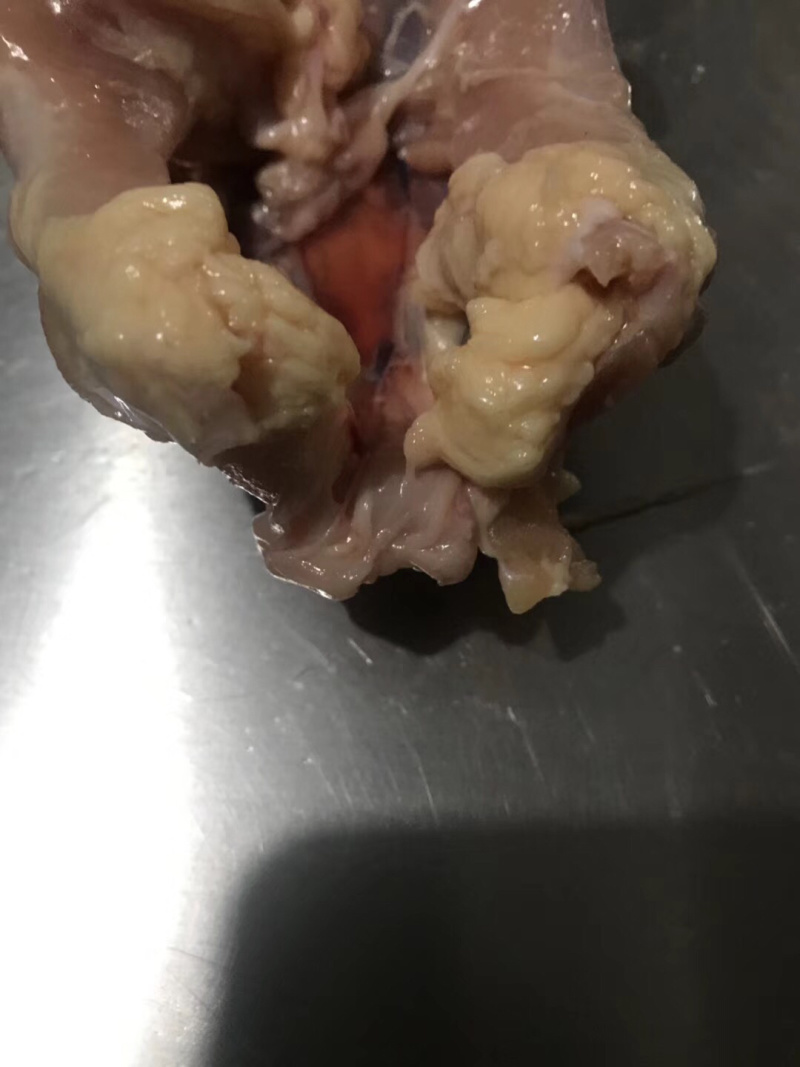 鸡架全架烧烤麻辣鸡架