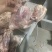 鸡架全架烧烤麻辣鸡架