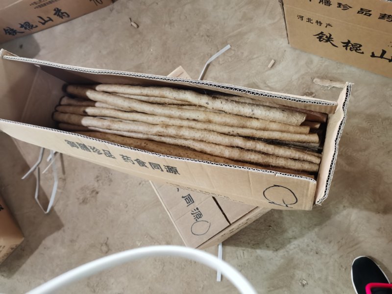 新山药紫药小白嘴箱货2—3厘米50—70厘米大量供应