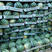 万亩美都西瓜大量有货西瓜基地直供八斤打底头茬大量上市
