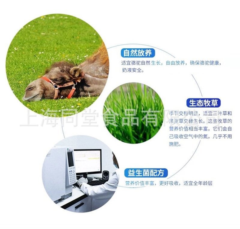 跑江湖热卖骆驼奶粉1000g每罐一件代发