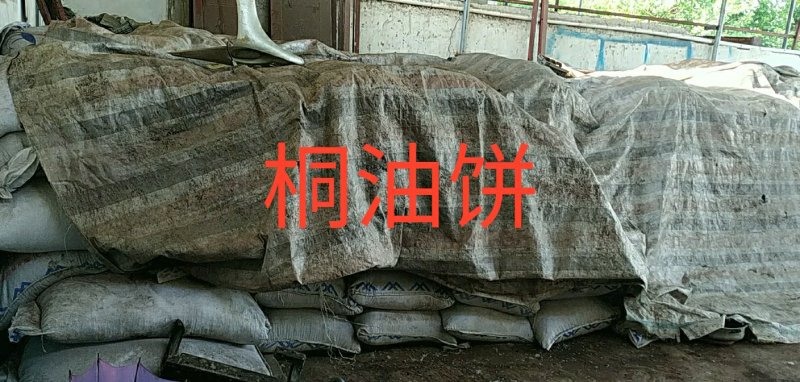 桐油，桐油饼，全晒太阳的桐油籽榨油，折光指数