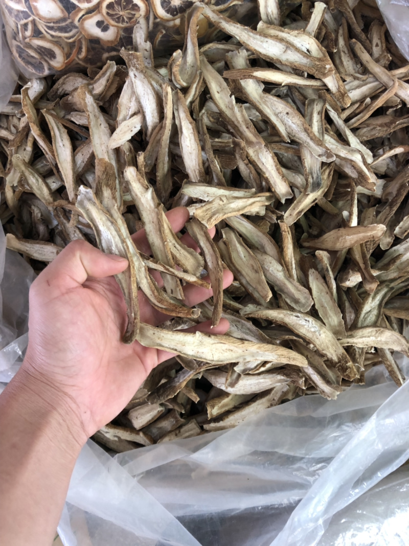 新货牛蒡根片型好各种规格