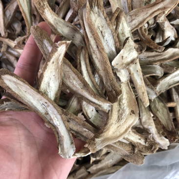 新货牛蒡根片型好各种规格