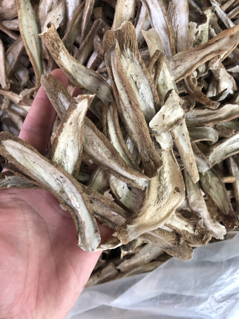 新货牛蒡根片型好各种规格