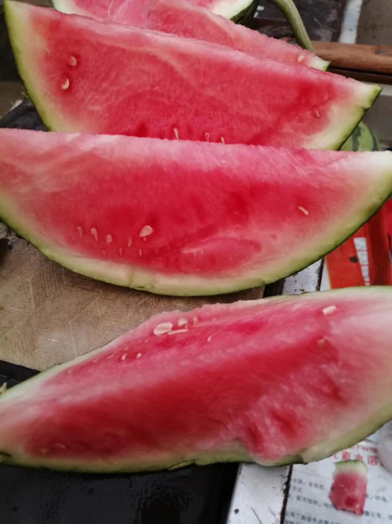 精品麒麟美都价格便宜