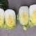 精品娃娃菜