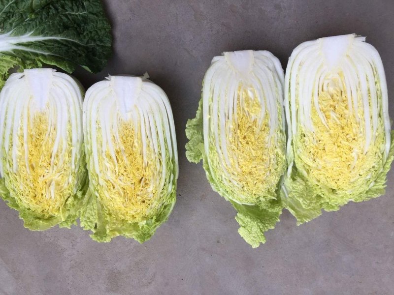 精品娃娃菜
