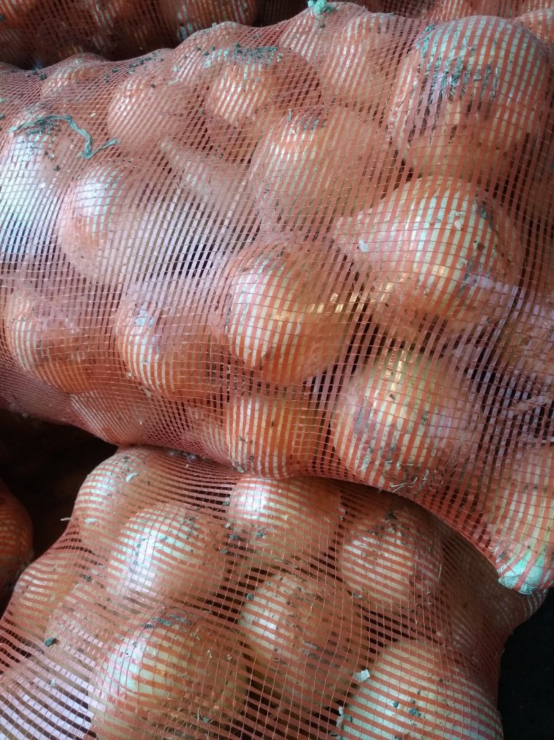 新鲜精品黄皮洋葱上市中，质量好价格低有需要的联系。