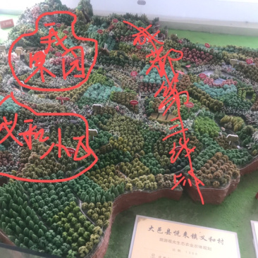 果园转让或合作