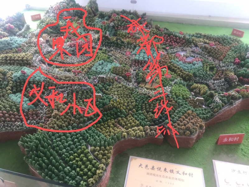 果园转让或合作