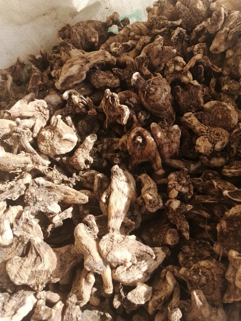 产地直销白及，常年经营，