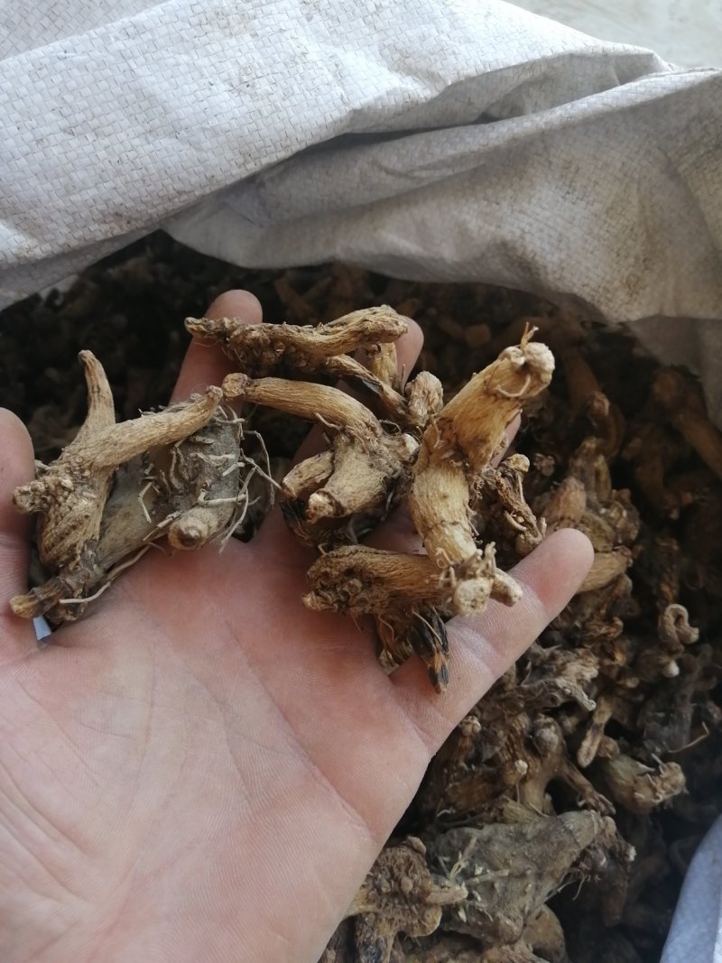 产地直销白及，常年经营，