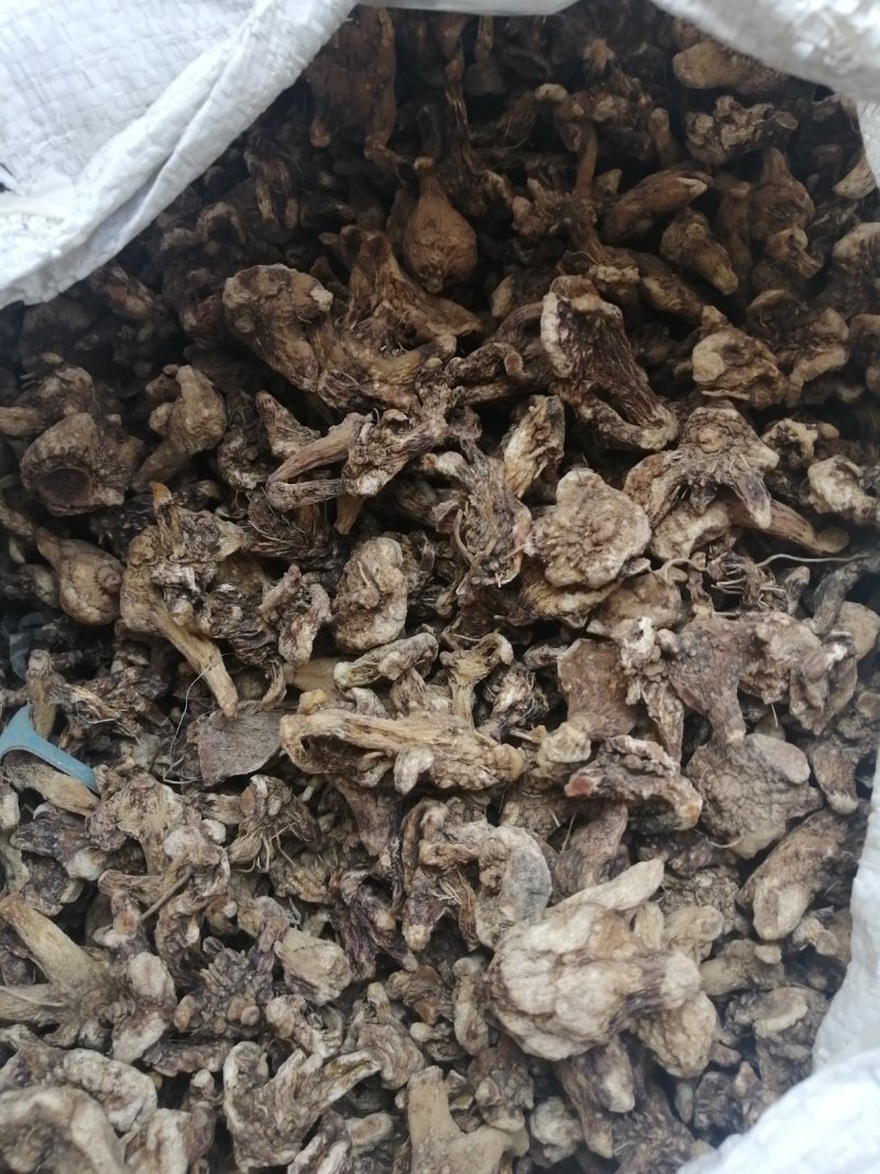 产地直销白及，常年经营，