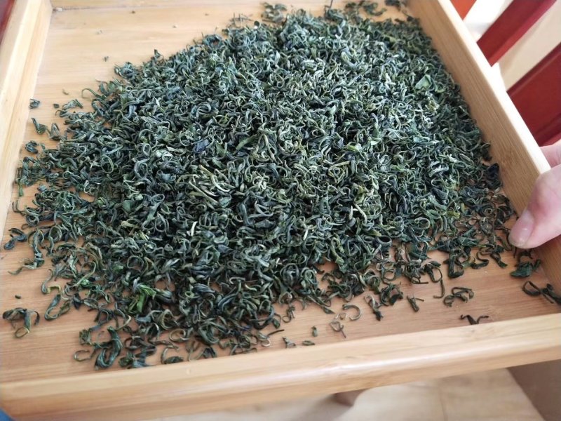 贵州高山绿茶毛峰