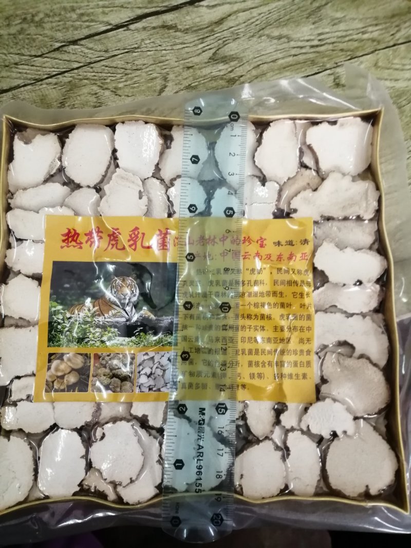虎乳菌，云南深山老林下生长，煲汤食材颜色漂亮