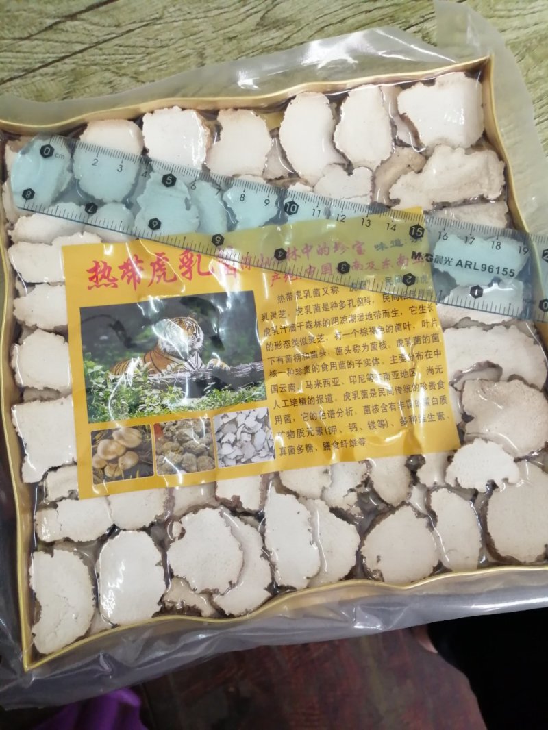 虎乳菌，云南深山老林下生长，煲汤食材颜色漂亮