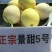 景甜甜瓜