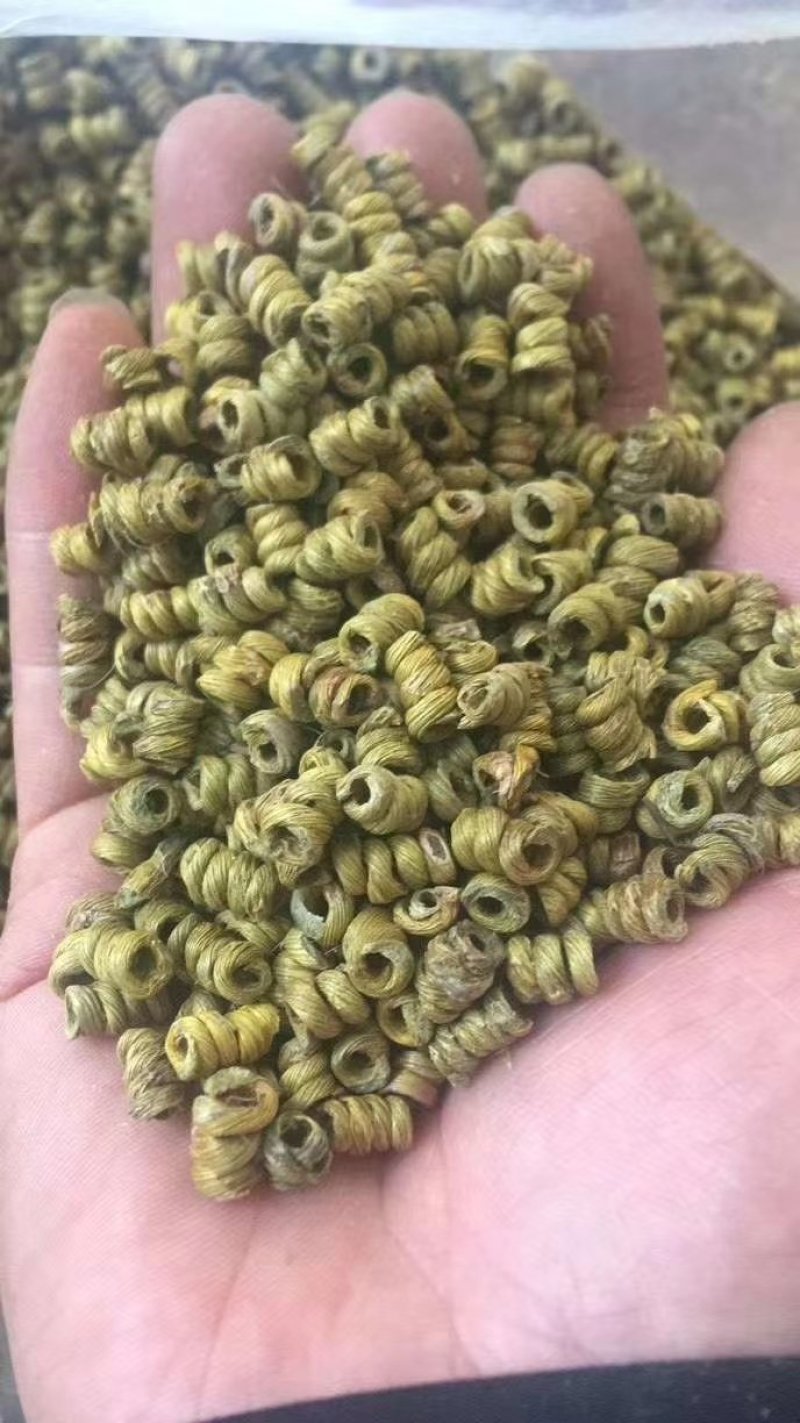 精品霍山仿野生铁皮石斛枫斗鲜条干花50克一瓶