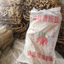 洋芋粉条四川粉丝干粉条北镇粉条南阳粉条山药粉丝枣庄粉条