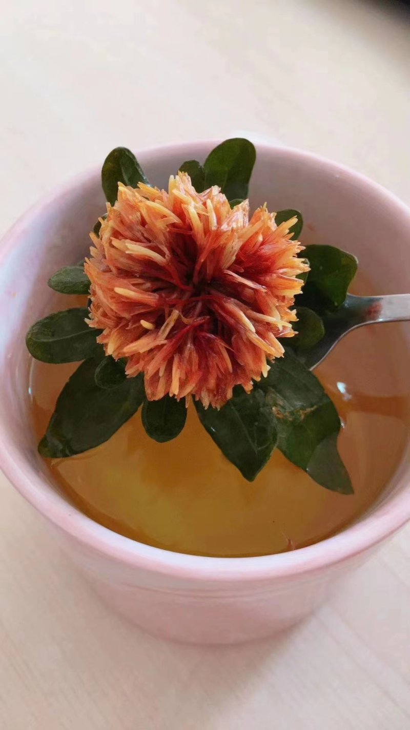 红花朵花红叶绿赶集摆摊产地直销量大从优