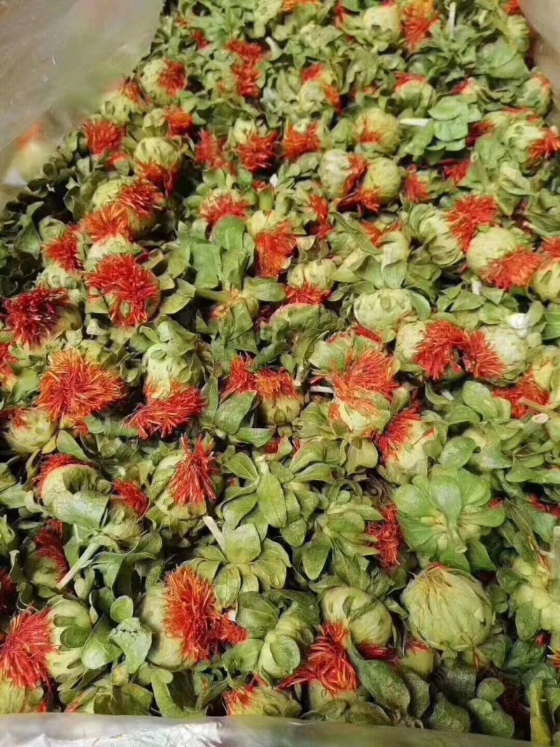 红花朵花红叶绿赶集摆摊产地直销量大从优