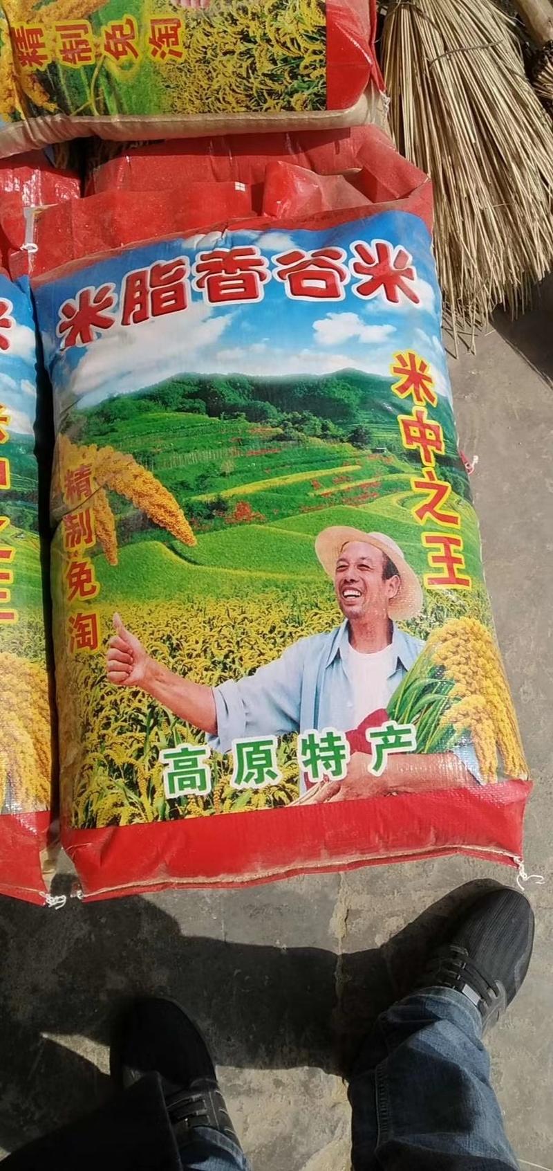 陕北米脂小米，2020年现碾现发的新小米