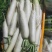 蔬菜