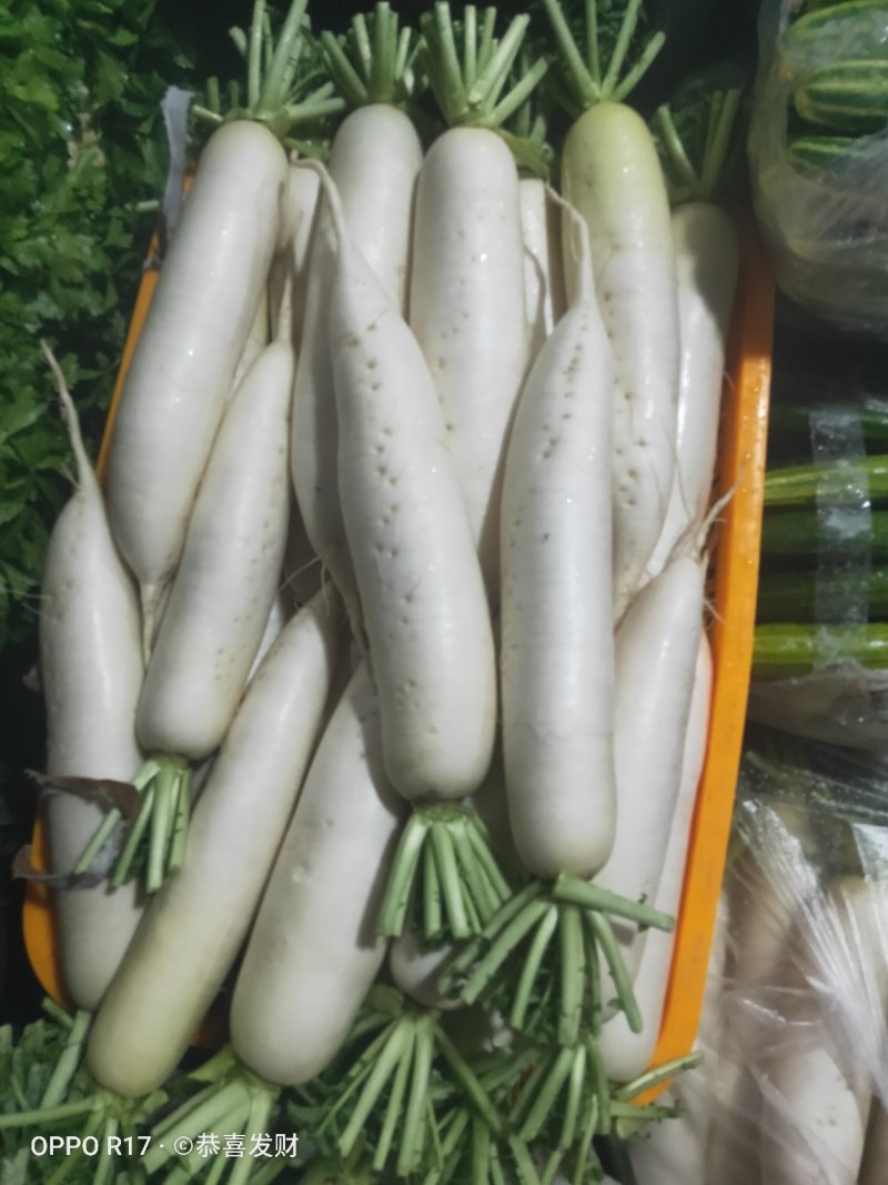 蔬菜