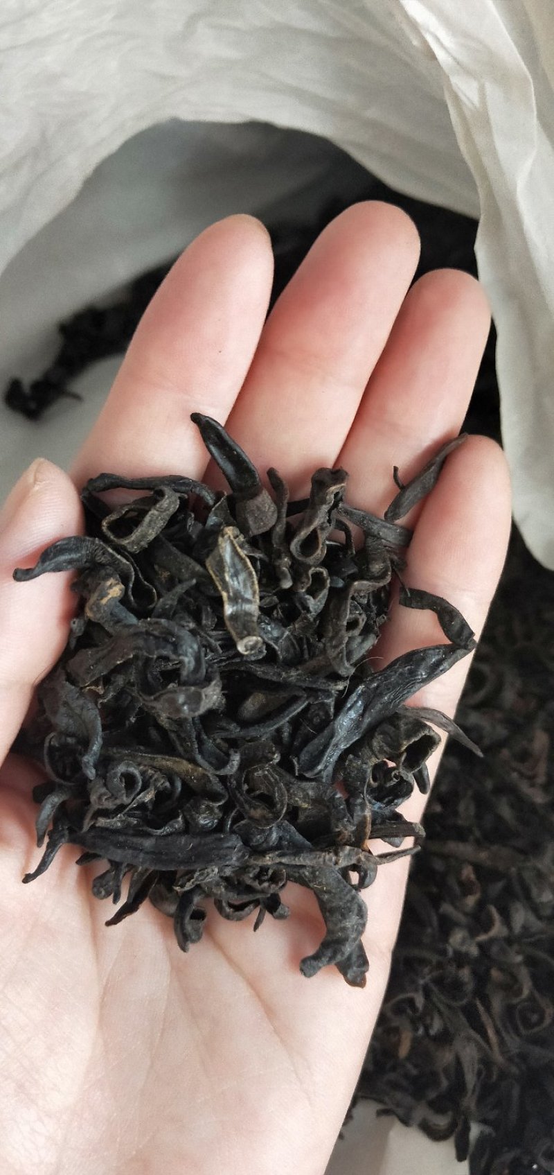 水蛭，清水吊干宽体金线水蛭，炕干宽体金线水蛭