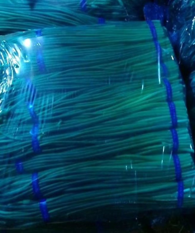 山东金乡红帽蒜苔万吨冷库，提供各种规格包装