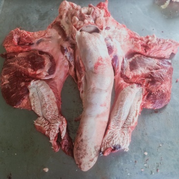 牛头肉厂家直发货源充足支持样品视频看货量大优惠