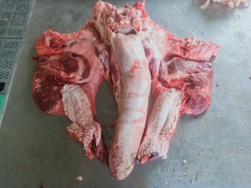 牛头肉厂家直发货源充足支持样品视频看货量大优惠