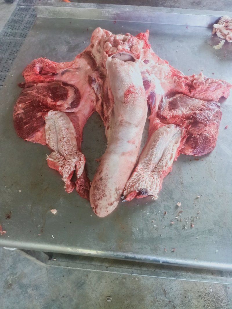 牛头肉厂家直发货源充足支持样品视频看货量大优惠