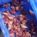 牛头肉厂家直发货源充足支持样品视频看货量大优惠