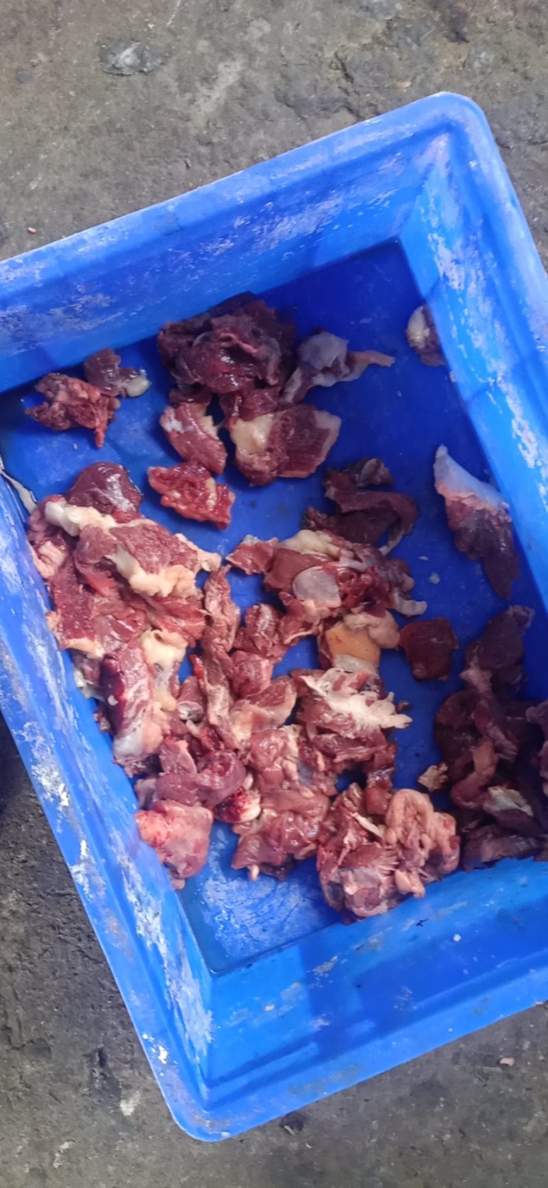 牛头肉厂家直发货源充足支持样品视频看货量大优惠