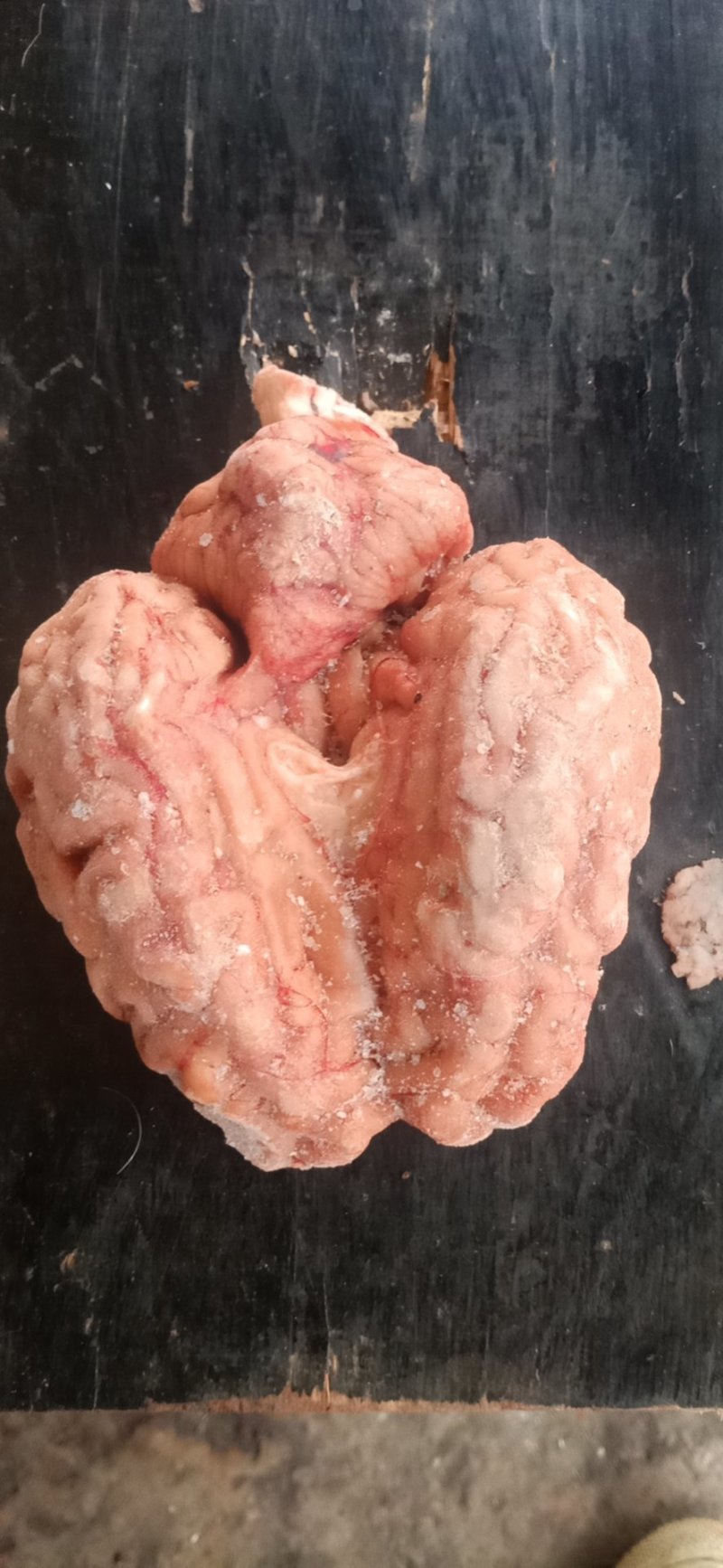 牛头肉厂家直发货源充足支持样品视频看货量大优惠