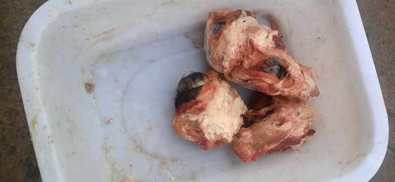 牛头肉厂家直发货源充足支持样品视频看货量大优惠